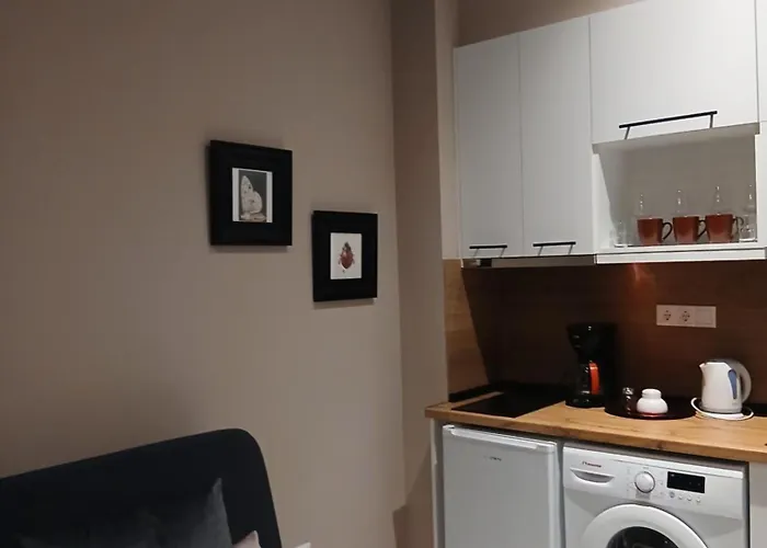 Black Onyx Comfort - Elegant Stay- Center Next To Airport Bus Apartmán